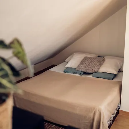 Willa Rubin - Apartamenty i Pokoje Krynica Morska-2
