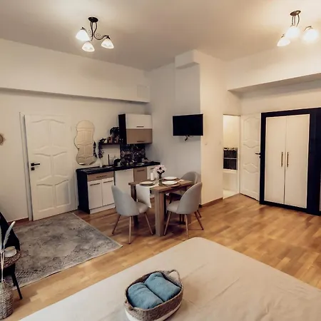 Willa Rubin - Apartamenty i Pokoje Krynica Morska-3